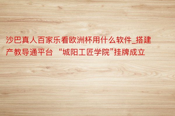 沙巴真人百家乐看欧洲杯用什么软件_搭建产教导通平台  “城阳工匠学院”挂牌成立