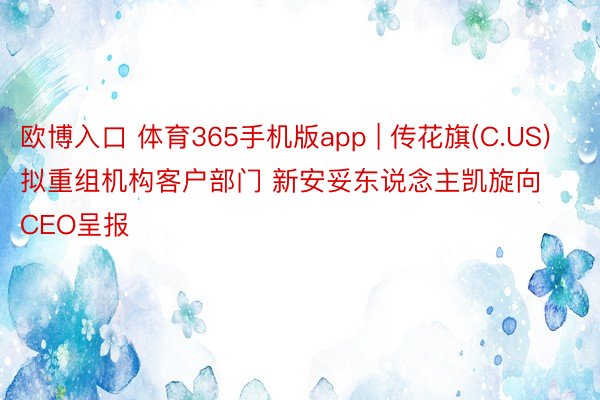 欧博入口 体育365手机版app | 传花旗(C.US)拟重组机构客户部门 新安妥东说念主凯旋向CEO呈报