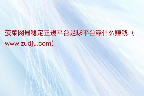 菠菜网最稳定正规平台足球平台靠什么赚钱（www.zudju.com）